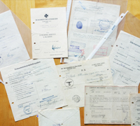 Document Grouping to Panzer-Jäger-Abteilung 38 Ottmar Pötsch