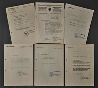 SS-Obersturmbannführer Walter Haensch Document Group